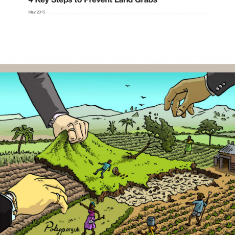 act_on_it_-_four_key_steps_to_stop_land_grabs.png